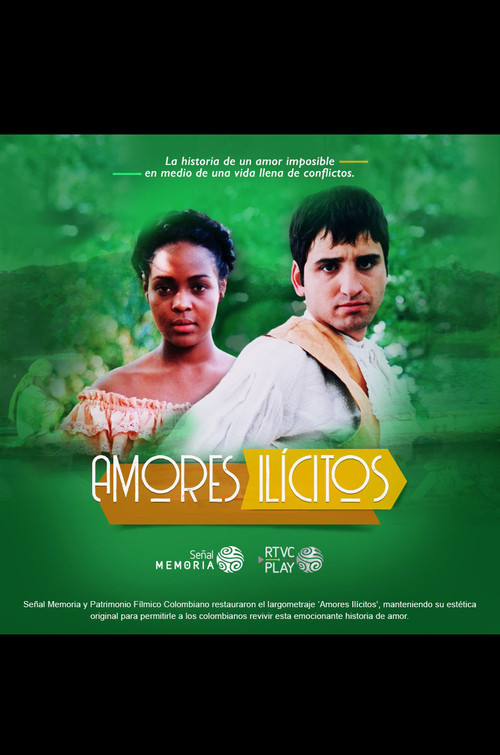 De amores y delitos: Amores ilícitos (1995) poster