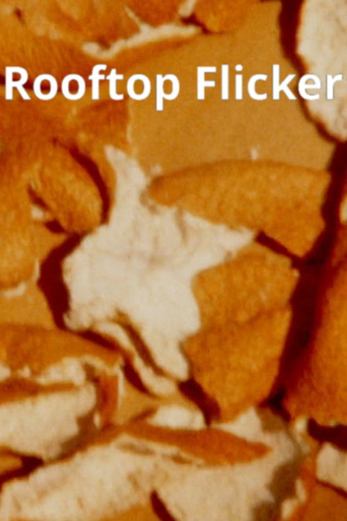 Rooftop Flicker (2022) poster