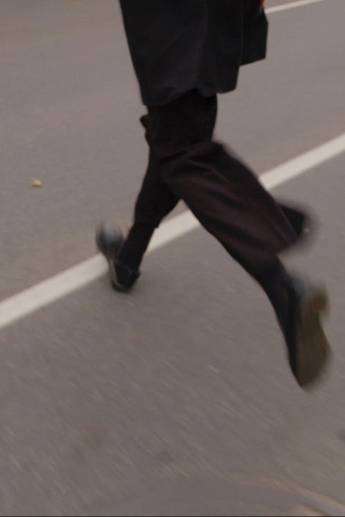 Crosswalk That Wasn't There (2023) poster