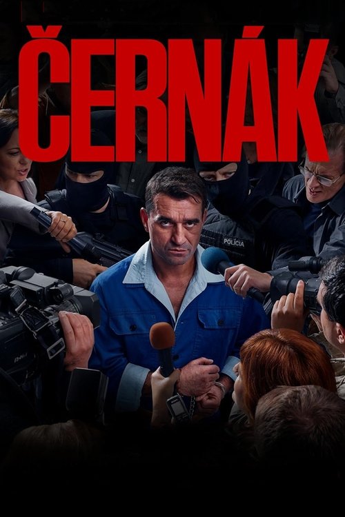 ČERNÁK (2025) poster