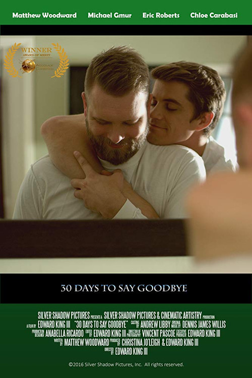 30 Days to Say Goodbye (2017) poster