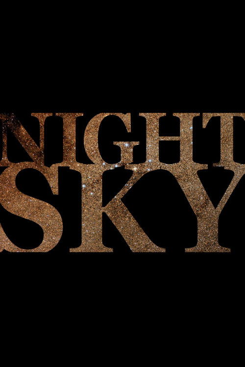 Night Sky (2011) poster