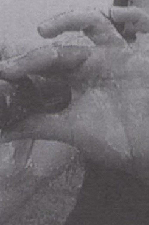 Luna 10 (The Butterfly Effect of Geography) (1994) poster