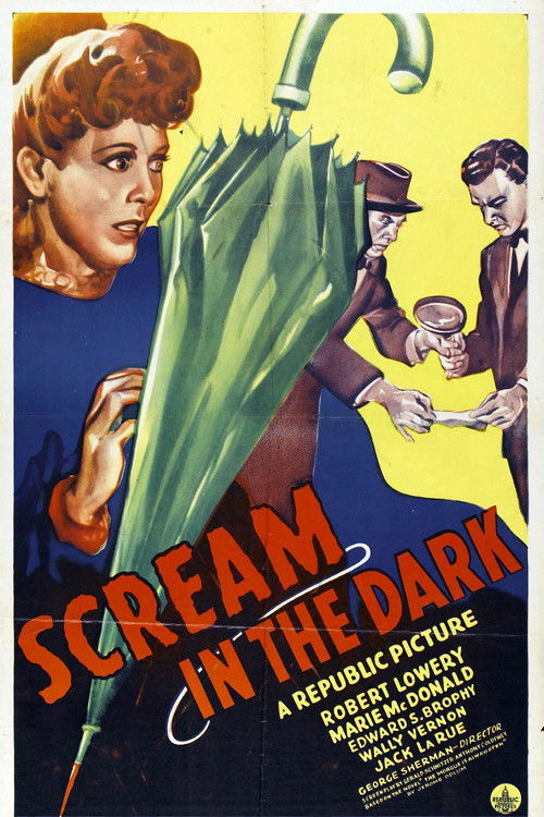 A Scream in the Dark (1943) poster