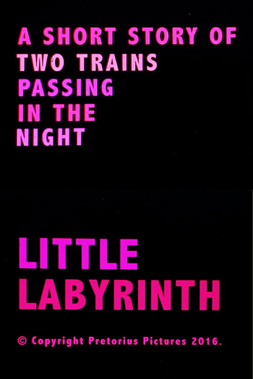Little Labyrinth (2016) poster