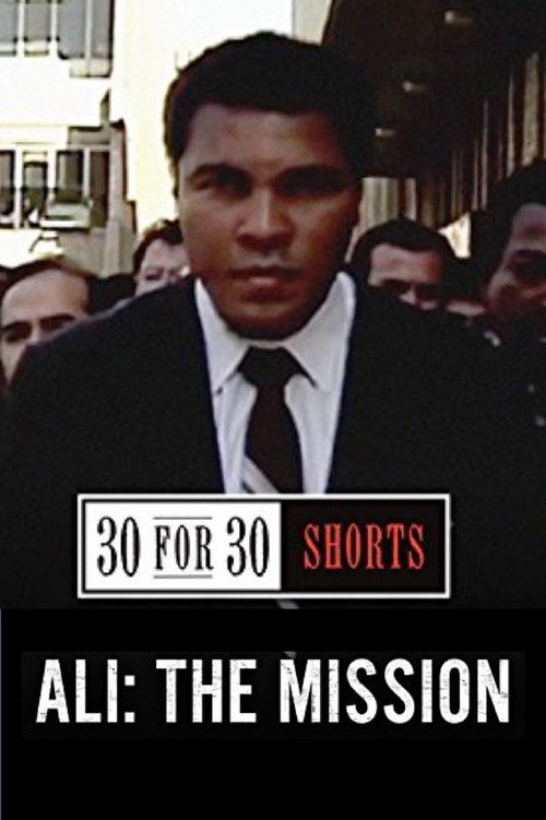Ali: The Mission (2013) poster