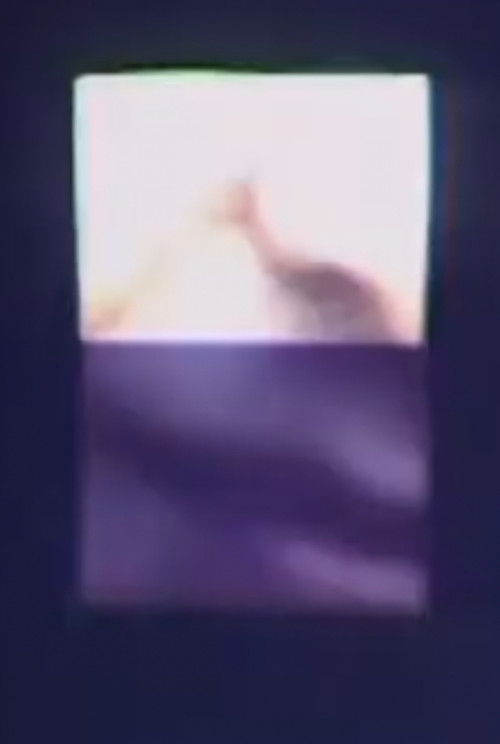 Inter-Images (1990) poster