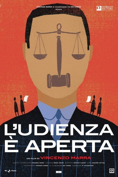 L'udienza è aperta (2006) poster