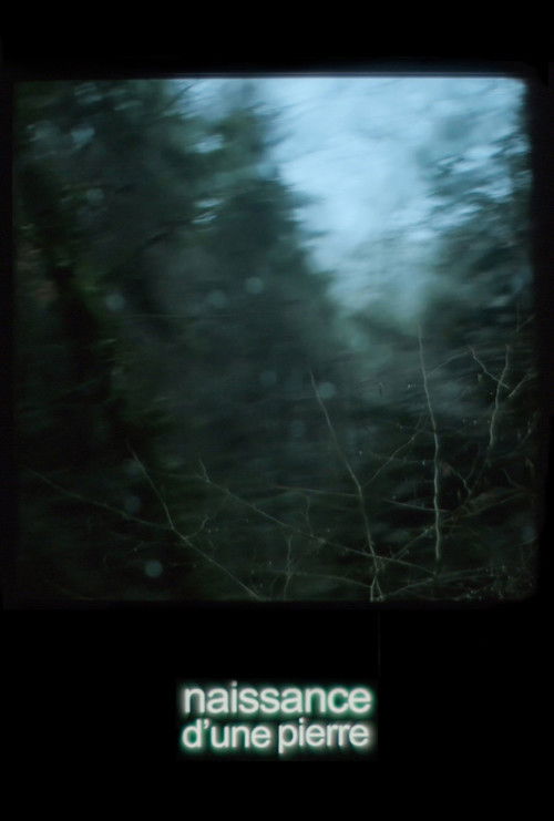 Naissance d'une pierre (2024) poster