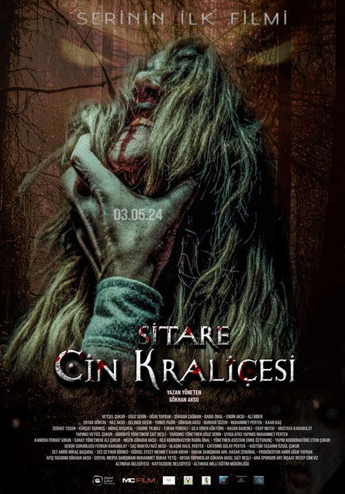 Sitare: Cin Kraliçesi (2025) poster