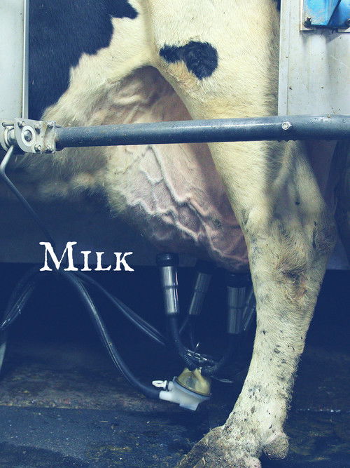 Milk (2017) poster