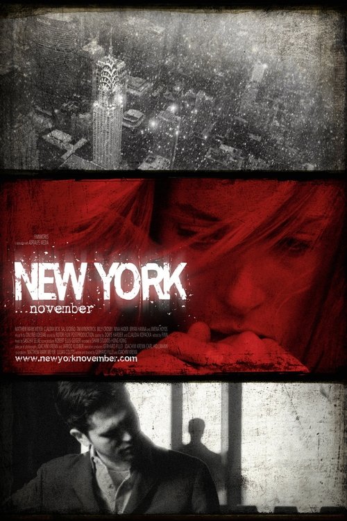 New York November (2011) poster