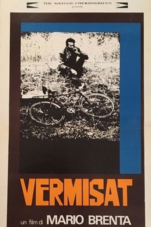 Vermisat (1974) poster