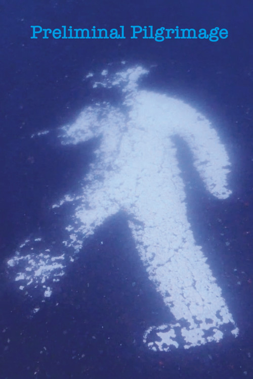 Preliminal Pilgrimage (2023) poster