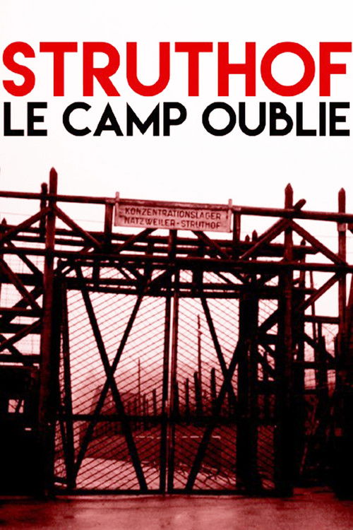 Memories of a Nazi Camp (2019) poster