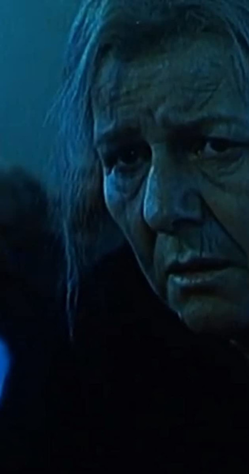 The Heart of a Mother (1993) poster