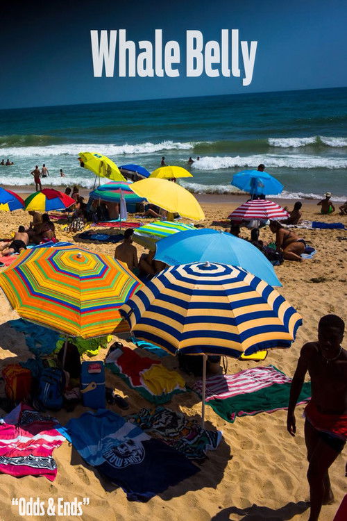 Odd & Ends (2011) poster