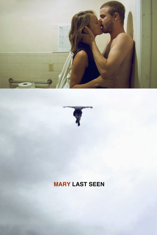 Mary Last Seen (2010) poster