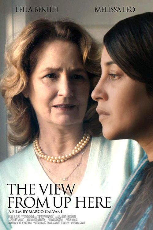 The View from Up Here (2017) poster