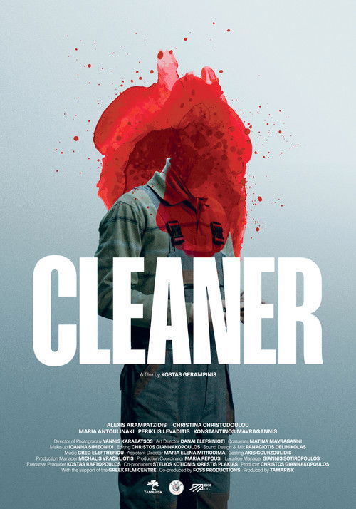 Cleaner (2024) poster