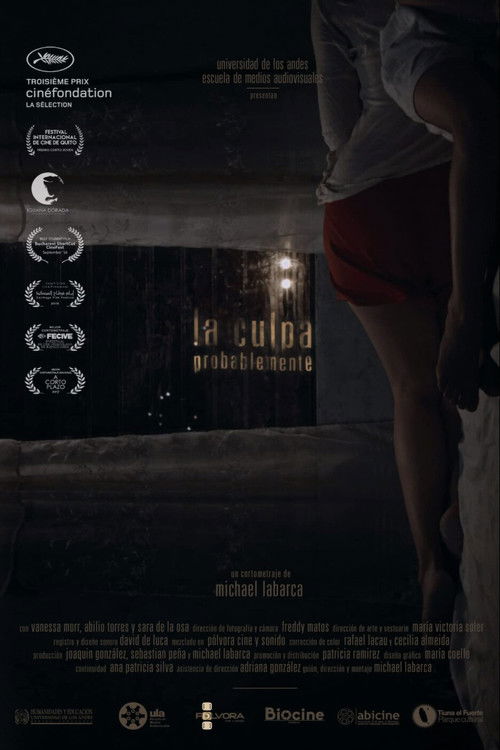 The Guilt, Probably (2016) poster