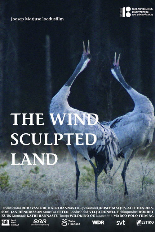 The Wind Sculpted Land (2018) poster