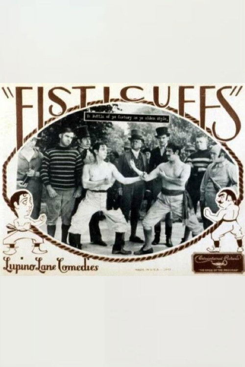 Fisticuffs (1928) poster