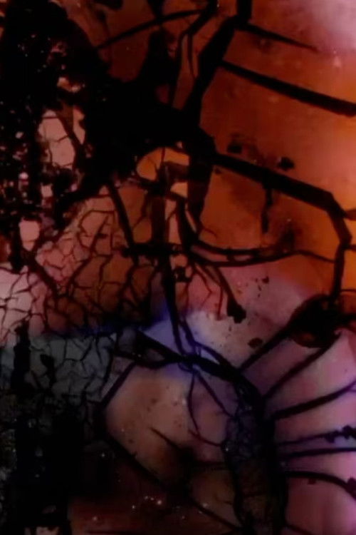 The illegible time scribbled the continuation of things (2023) poster