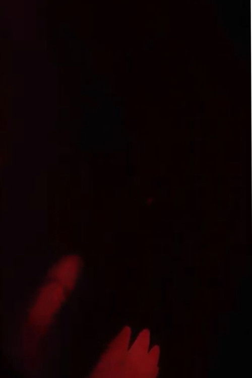 jelly fish (2024) poster