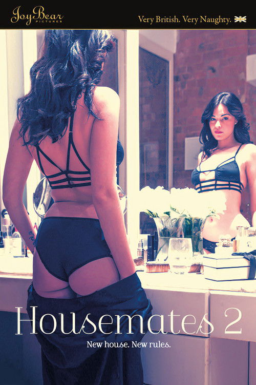 Housemates 2 (2015) poster