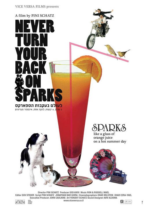 Never Turn Your Back On Sparks (2014) poster