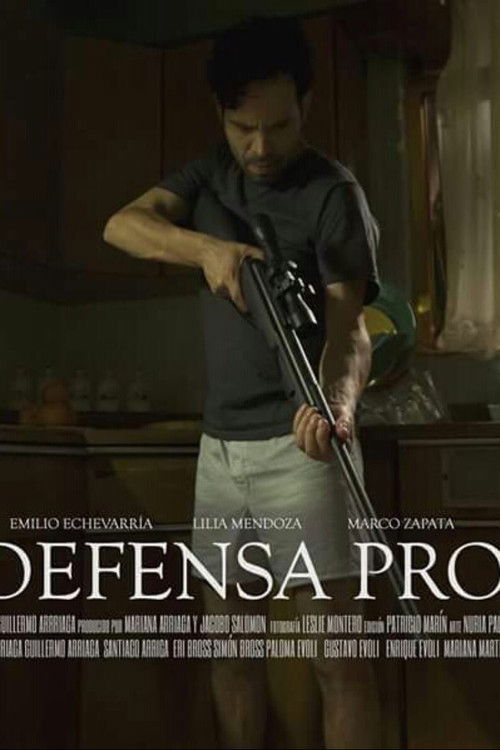 In Self Defense (2015) poster