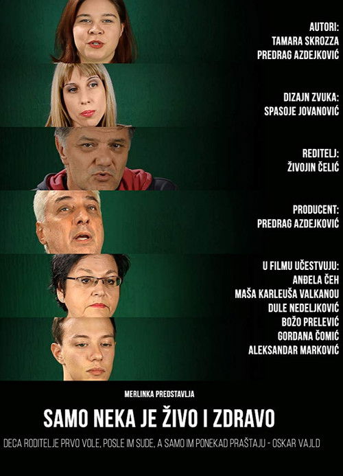 Just Be Safe and Sound (2015) poster