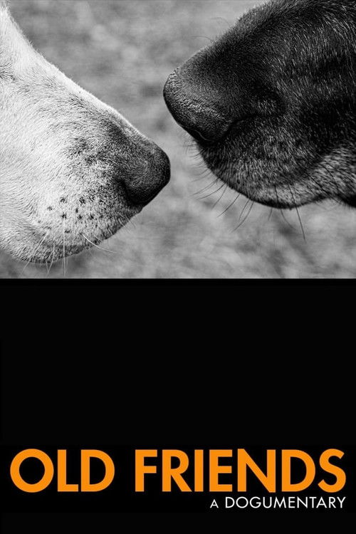 Old Friends: A Dogumentary (2022) poster