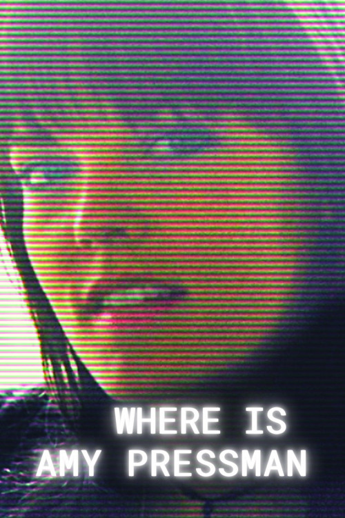 Where Is Amy Pressman (2010) poster