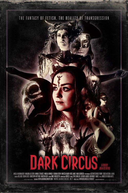 Dark Circus (2016) poster