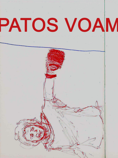 Patos Voam (2015) poster