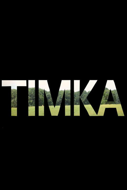 Timka (2012) poster