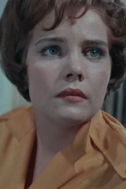 Hills Like White Elephants (1963) poster