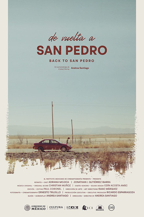 De vuelta a San Pedro (2021) poster