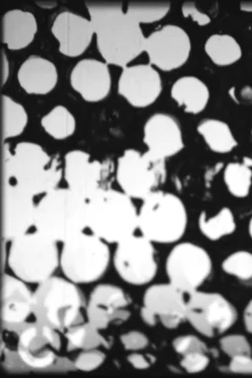 Paraphernalia (2020) poster