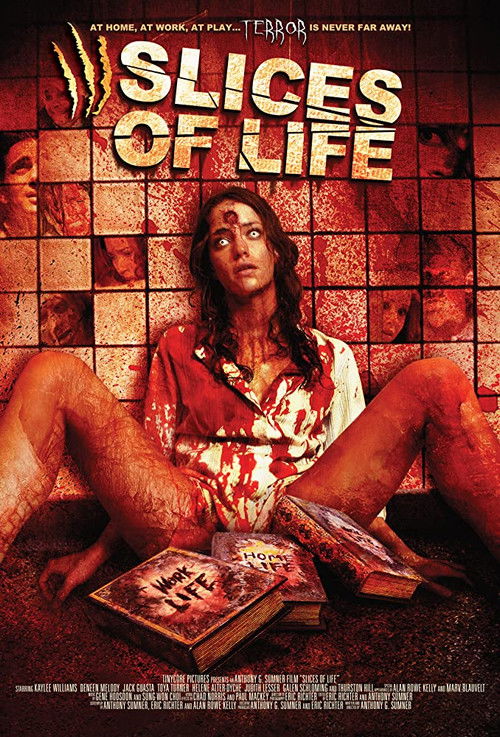Slices of Life (2010) poster
