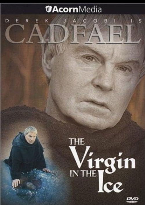 The Virgin in the Ice (1995) poster