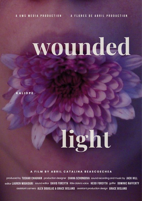 Wounded Light poster