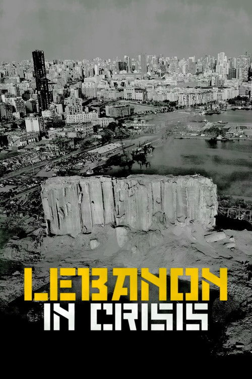 Lebanon in Crisis (2020) poster