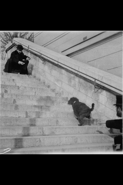 Chien, Caniche Noir Descendant et Montant Un Escalier (1897) poster
