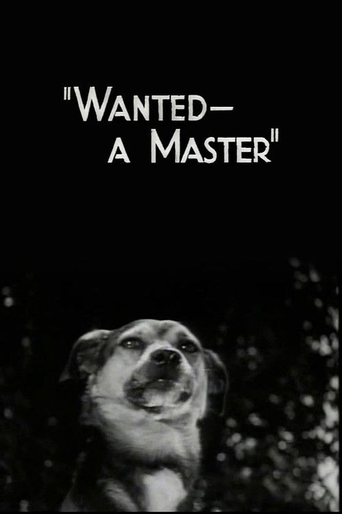 Wanted - A Master (1936) poster