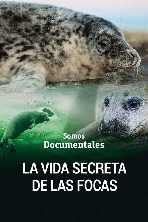 The Secret Life of the Seal (2022) poster
