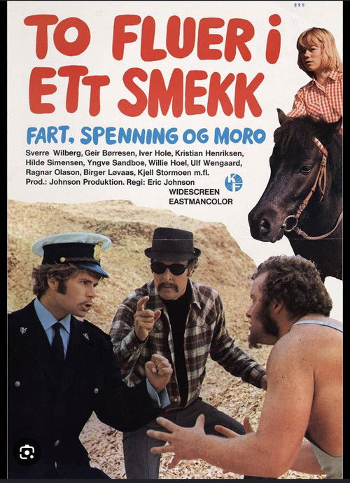To fluer i ett smekk (1973) poster