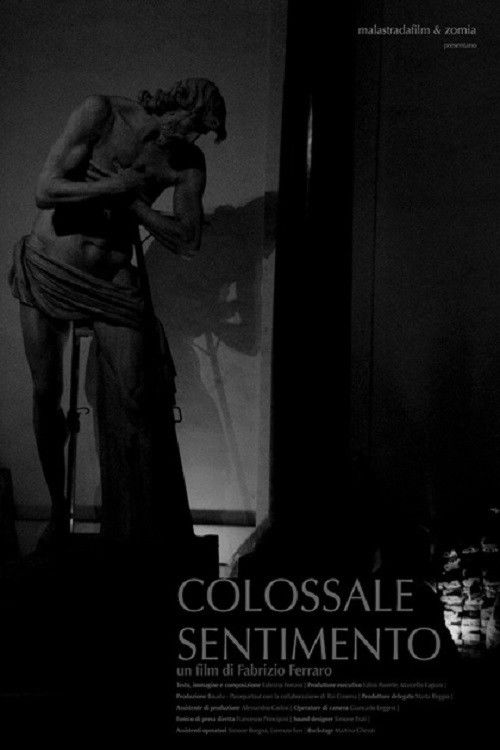 Colossale sentimento (2016) poster